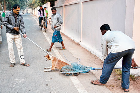 Image source: The Telegraph