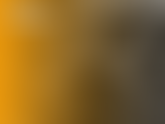 What do City Governments do?