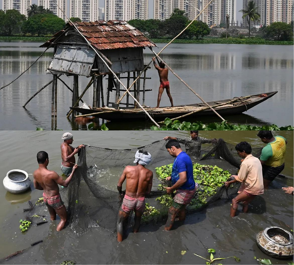 Source: Dibyangshu Sarkar/AFP, Aljazeera