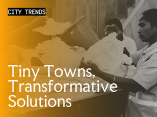 Tiny Towns, Transformative Solutions