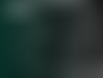 What is a City Government?