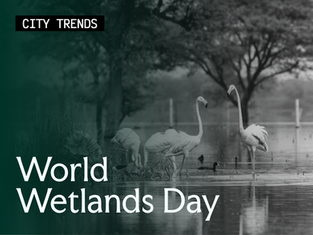 World Wetlands Day