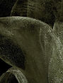 IMG_8370.jpeg