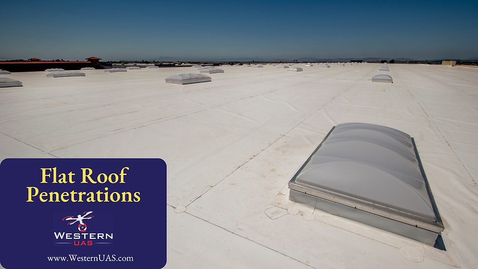 Western UAS Roof Penetrations leaks in flat roofs.png