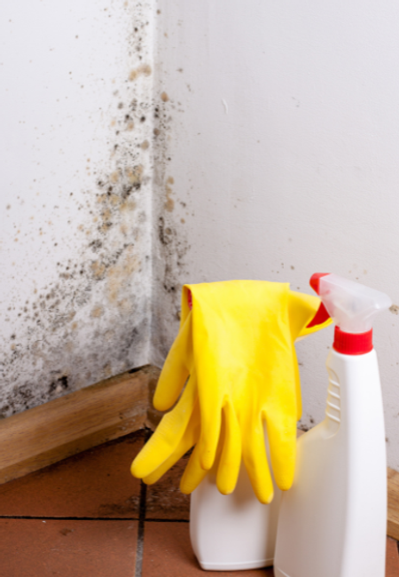 how to clean mold.png