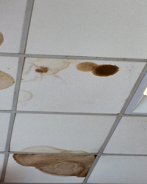 roof leak stains ceiling tiles(1).png