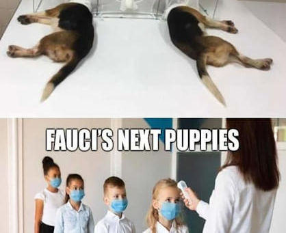 Don't let them treat your child like a puppy!