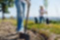 shutterstock_683239615.jpg