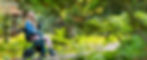 a woman sitting in a wheel chair in the woods_edited.jpg