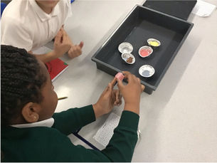 Year 4 Science