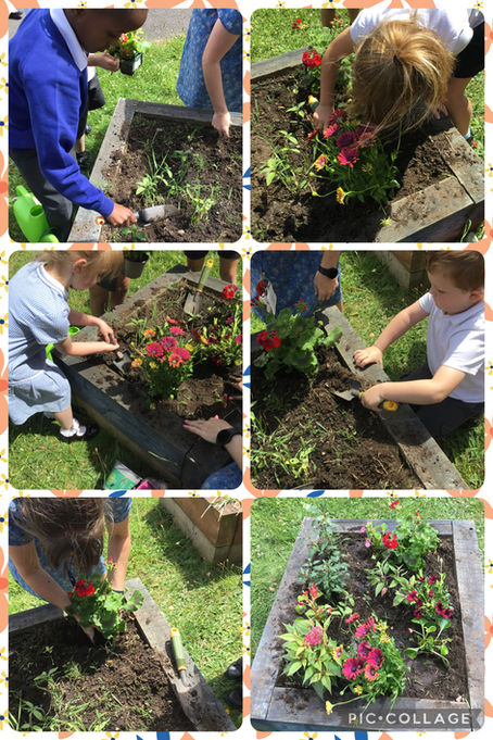 Bilston in Bloom!