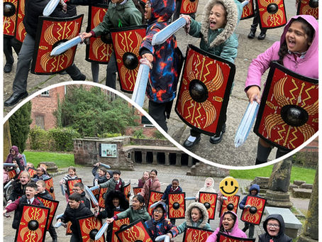 Y3 Beech - Deva Roman Experience