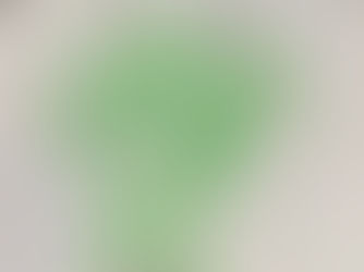 Nursery - Wide Mouthed Frog