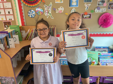 Green Class - Merit Awards
