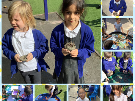 Year 1 - Science Week