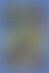 Year 1 - Adventure Playground