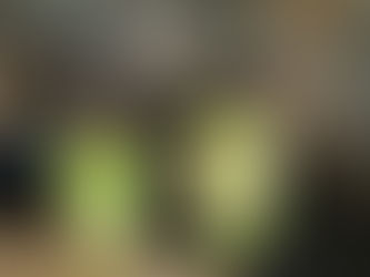 Junior Police Community Support Officers