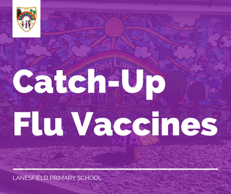 Catch-Up Flu Vaccines