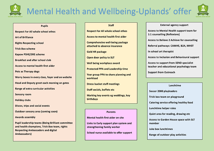 Mental health Uplands offer.png