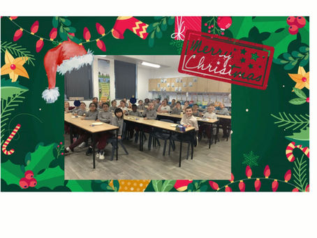 Y5 Pine - Cinema Afternoon