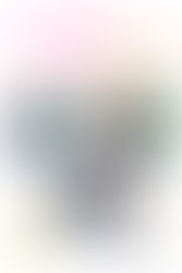 Year 6 - Stars of the Week