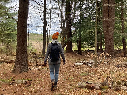 Mindful Walk_Jessica Barthel_landscape.jpeg