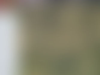 How to open a .sid file?