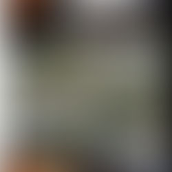 GeoAI for Real-Time Disaster Management Systems