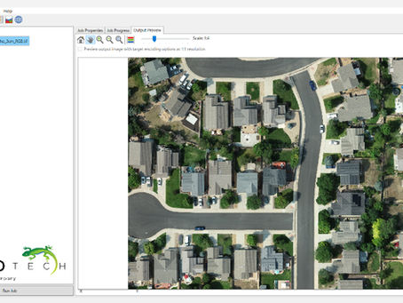 A Complete Guide to Raster Image Management in GIS
