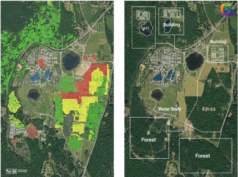 Pixel Classification vs Object Detection: A Technical Comparison