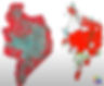 Land Use Mapping