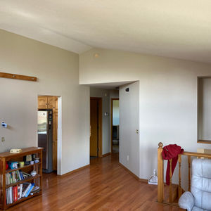 Living Room Painting