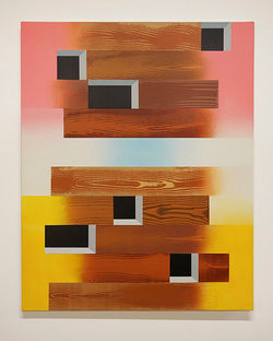 Duff Schweninger