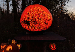 pangolin_pumpkin_carving_edited.jpg