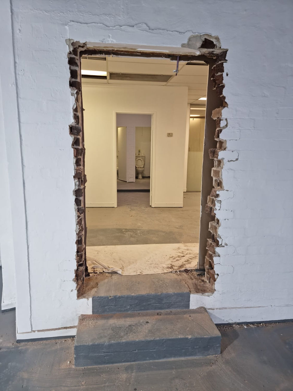 Stump grinding, laminate floor and rendering