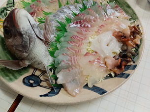 おじさん二人の とびしま&しまなみ海道サイクリング紀行2025年12月