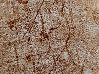 Nouvelle exposition temporaire au musée !