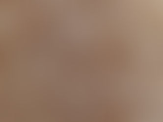 Nouvelle exposition temporaire au musée !