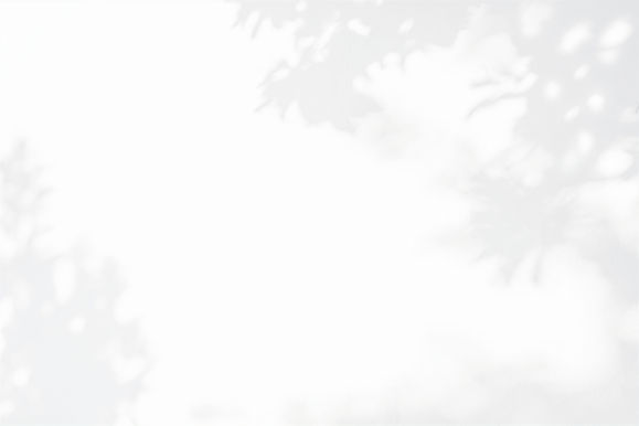 Leaves Shadow _edited.jpg