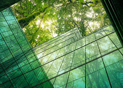 Eco-friendly building in the modern city. Sustainable glass office building with tree for