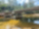 Bridge.jpg