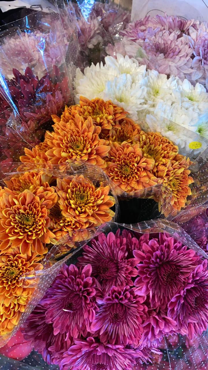 94779353_3194541770622458_75273391959755