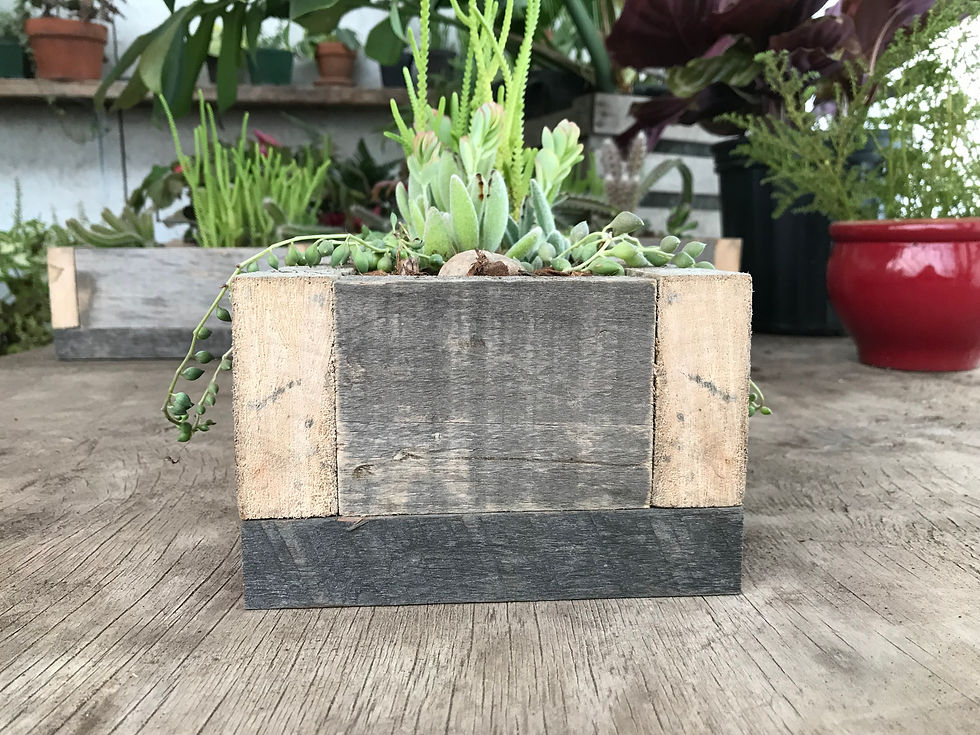 Thumbnail: Wooden Planter