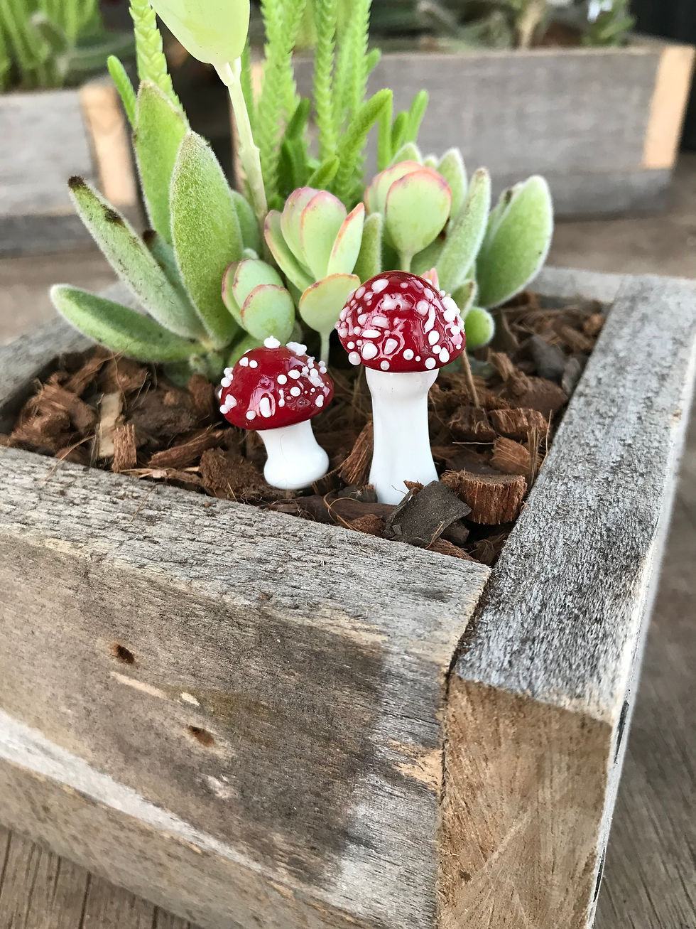 Thumbnail: Glass Mushrooms