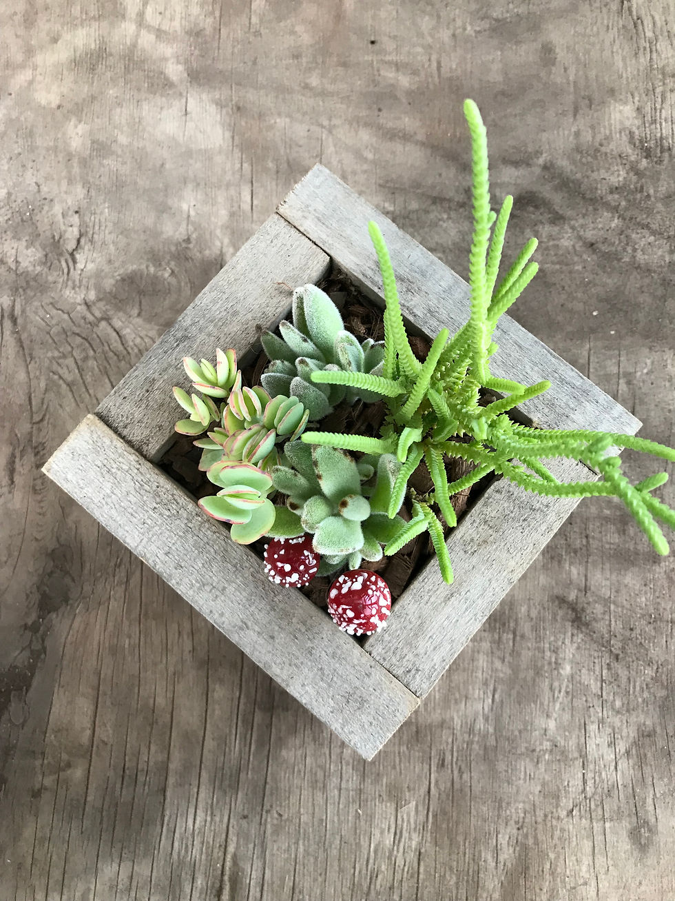 Thumbnail: Wooden Planter
