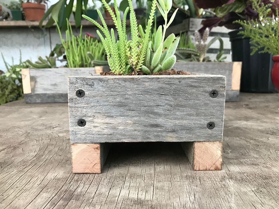 Thumbnail: Wooden Planter