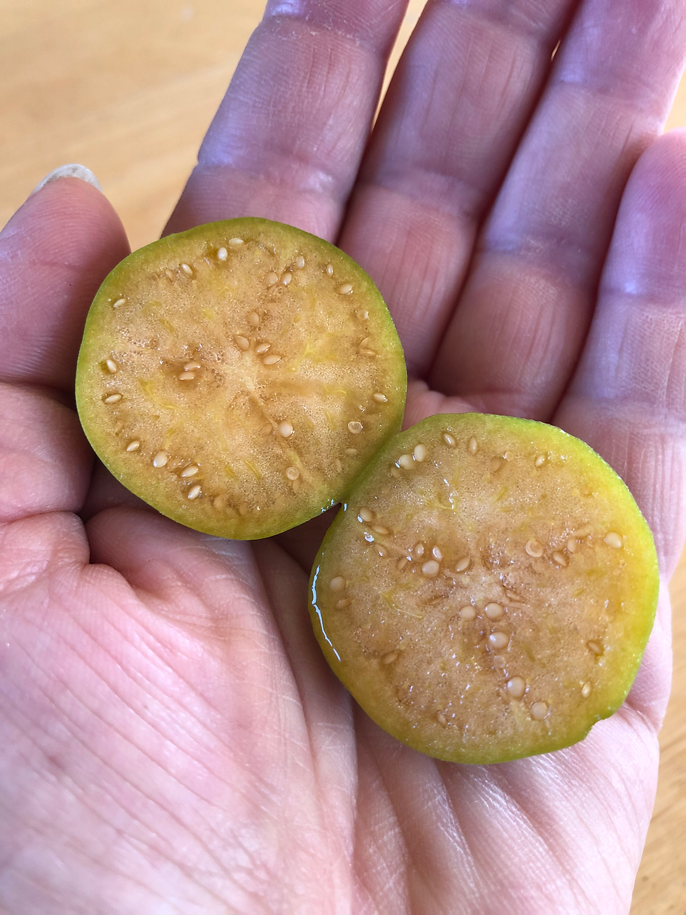 Miniaturbild: Lucie’s Big (Riesen-Physalis)