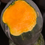 Miniaturbild: Honeynut (Butternut-Kürbis)