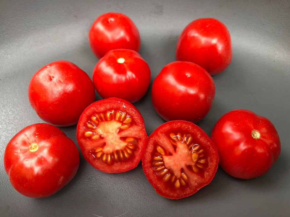 Gardener’s Delight, Sugar Lump, Benarys Gartenfreude