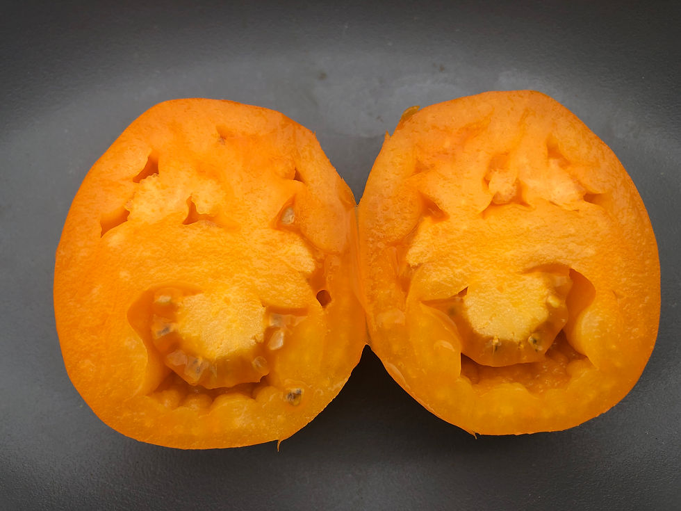Miniaturbild: Orange Queen